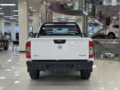 DongFeng Rich 6