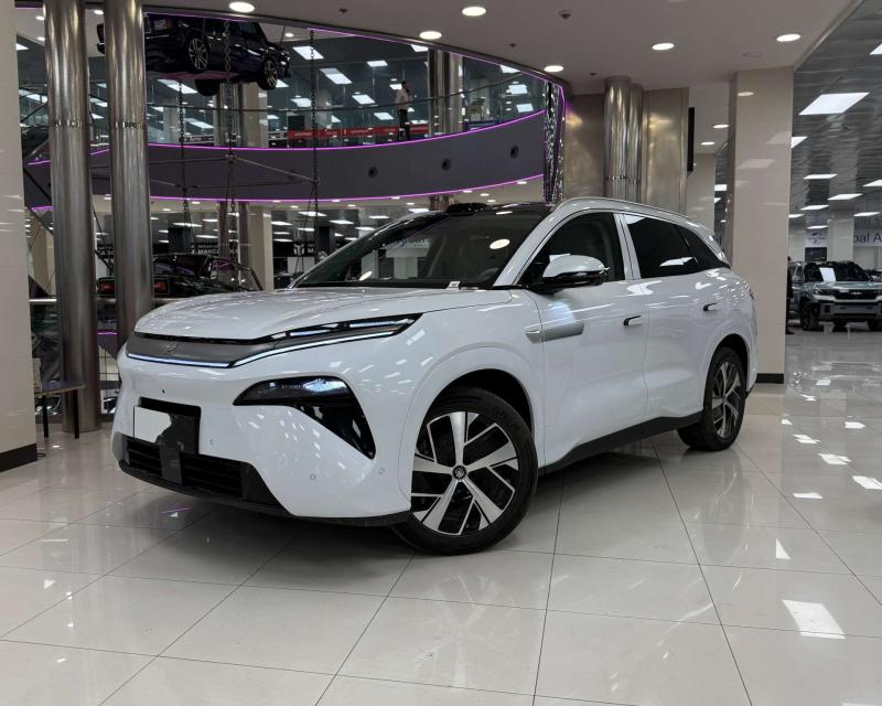 BYD Tang L 1 поколение 1.5 л, 700 л.с., гибрид