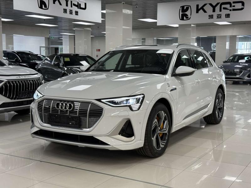 Audi e-tron I Электро  408 л.с. автомат полный