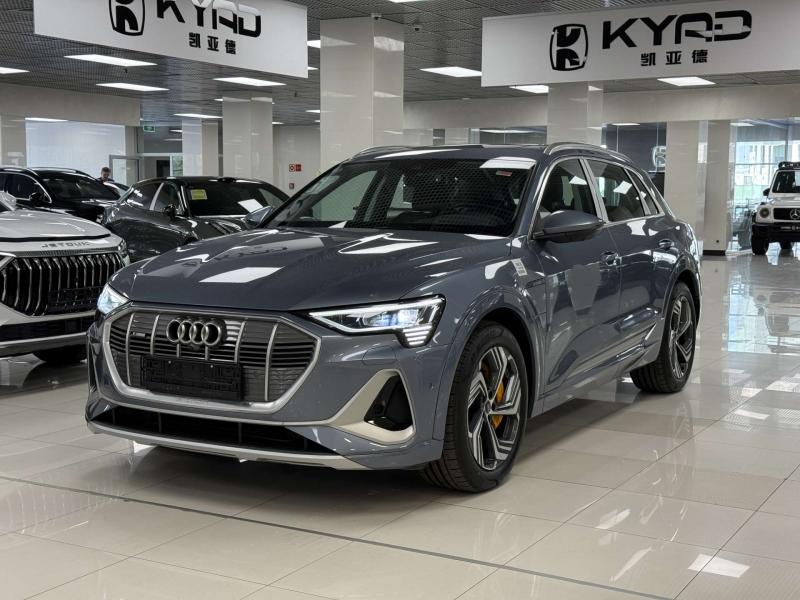 Audi e-tron I Электро  408 л.с. автомат полный