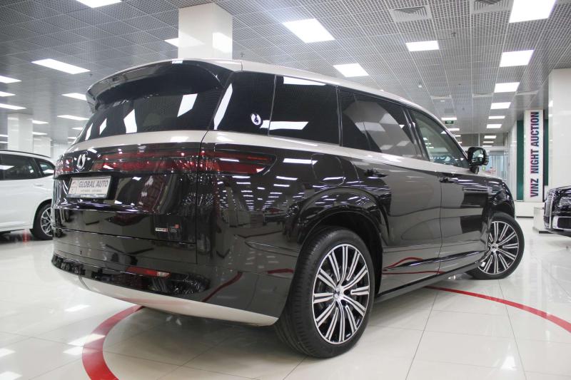 Denza N9 1 поколение 2.0 л. 925 л.с. (680 кВт) 