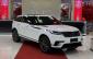 Объявление Land Rover Range Rover Velar 1 поколение [рестайлинг] 2.0 AT 4WD (250 л.с.)  2023 SALYA2BX2RA377001  Белый фото 1